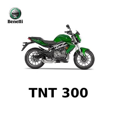 Benelli TNT 300