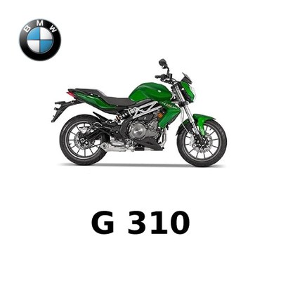 BMW G 310