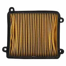 Air Filter Genuine