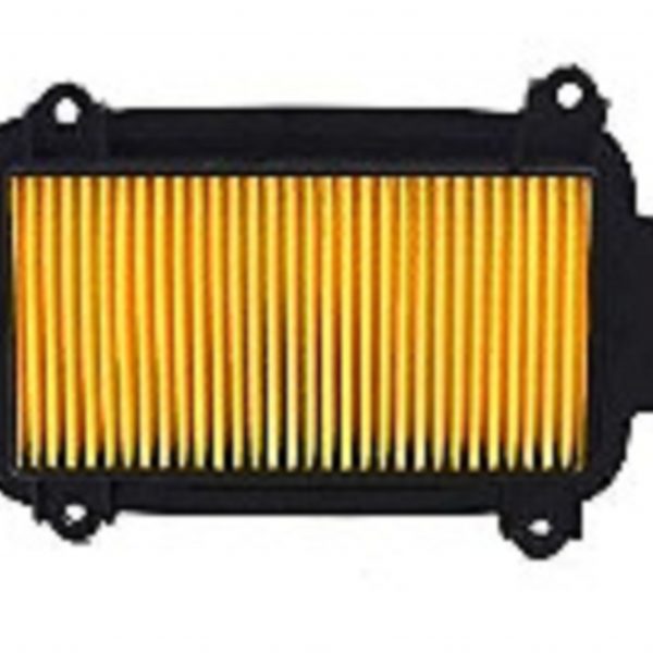 Air Filter Genuine (First Quality)