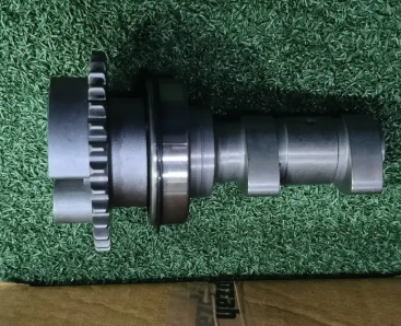 Cam Shaff Exhaust