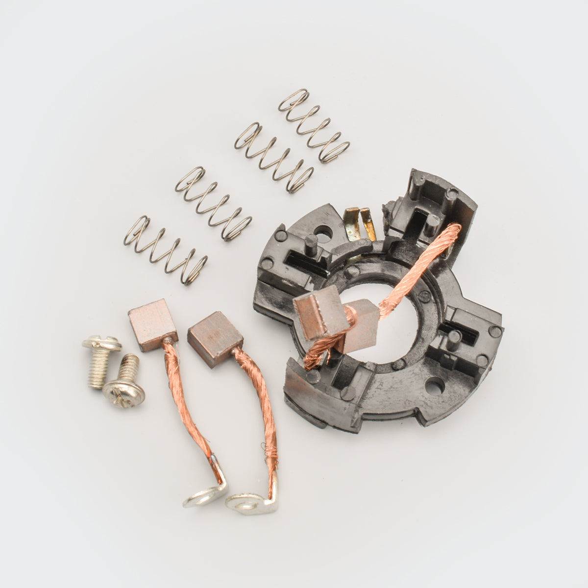 Carbon Brush Set (w/Plate) Assy Apache/RTR160/RTR180 for TVS RTR 180 — motorcycle spare part Kenya