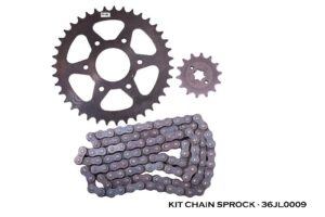 Chain Kit Genuine
