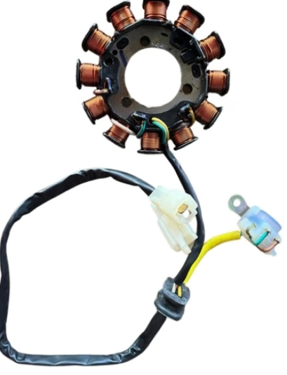 Coil Plate Assembly for Bajaj Pulsar NS 200 — motorcycle spare part Kenya