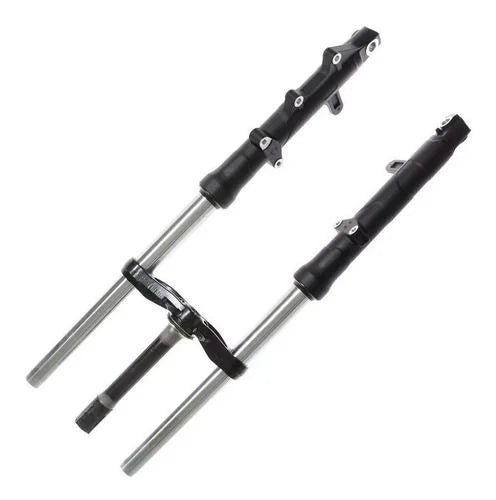 Front Fork Assembly-set of 2 (2012-18)