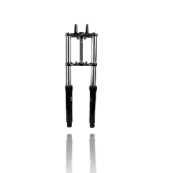Front Fork Assembly-set of 2 (2020-23)