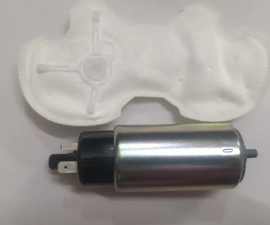 Fuel Pump Motor