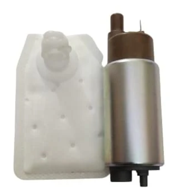 Fuel Pump Motor