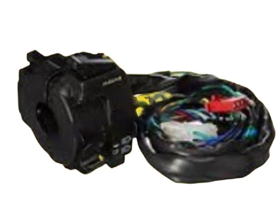 Left Side Switch Assembly