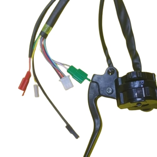 Left Side Switch Assembly