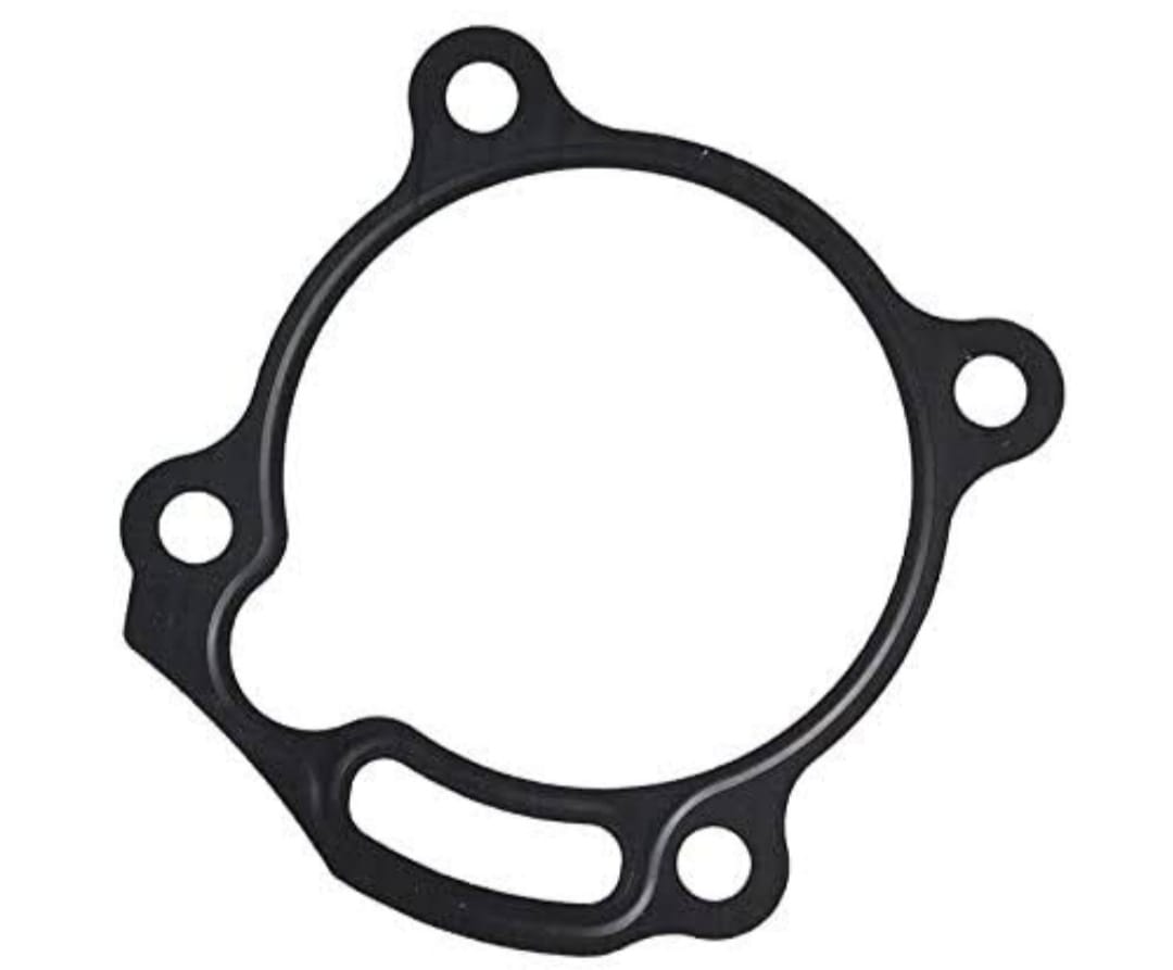 Oil Filter Gasket