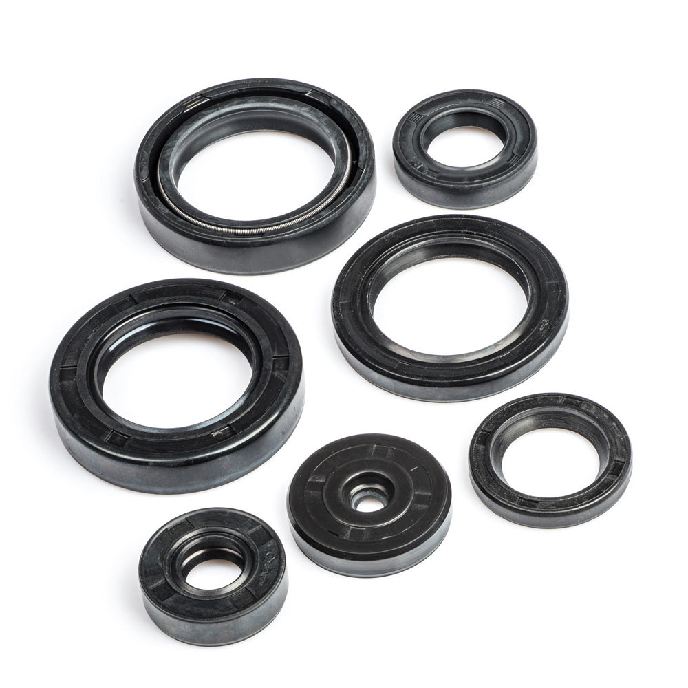 Oil Seal Kit (First Quality) for Hero Cbz Xtreme Type 2 — motorcycle spare part Kenya