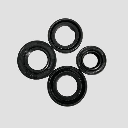 Oil Seal Kit XL100