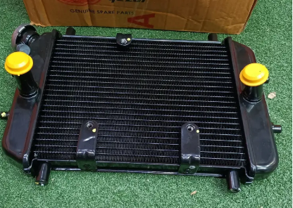 Radiator Assembly