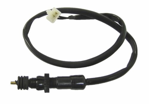 Rear Brake Switch