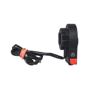 Self Switch Assembly (First Quality)