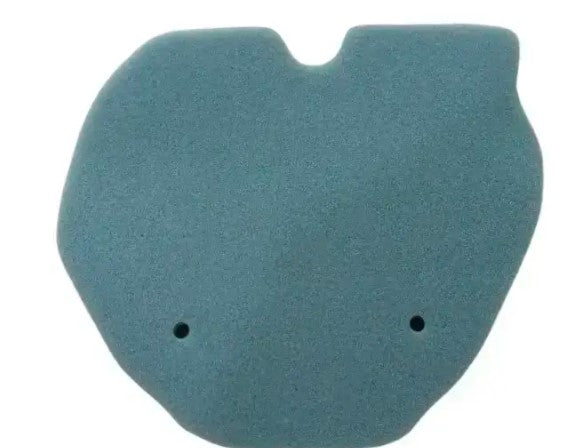 Sponge Air Filter