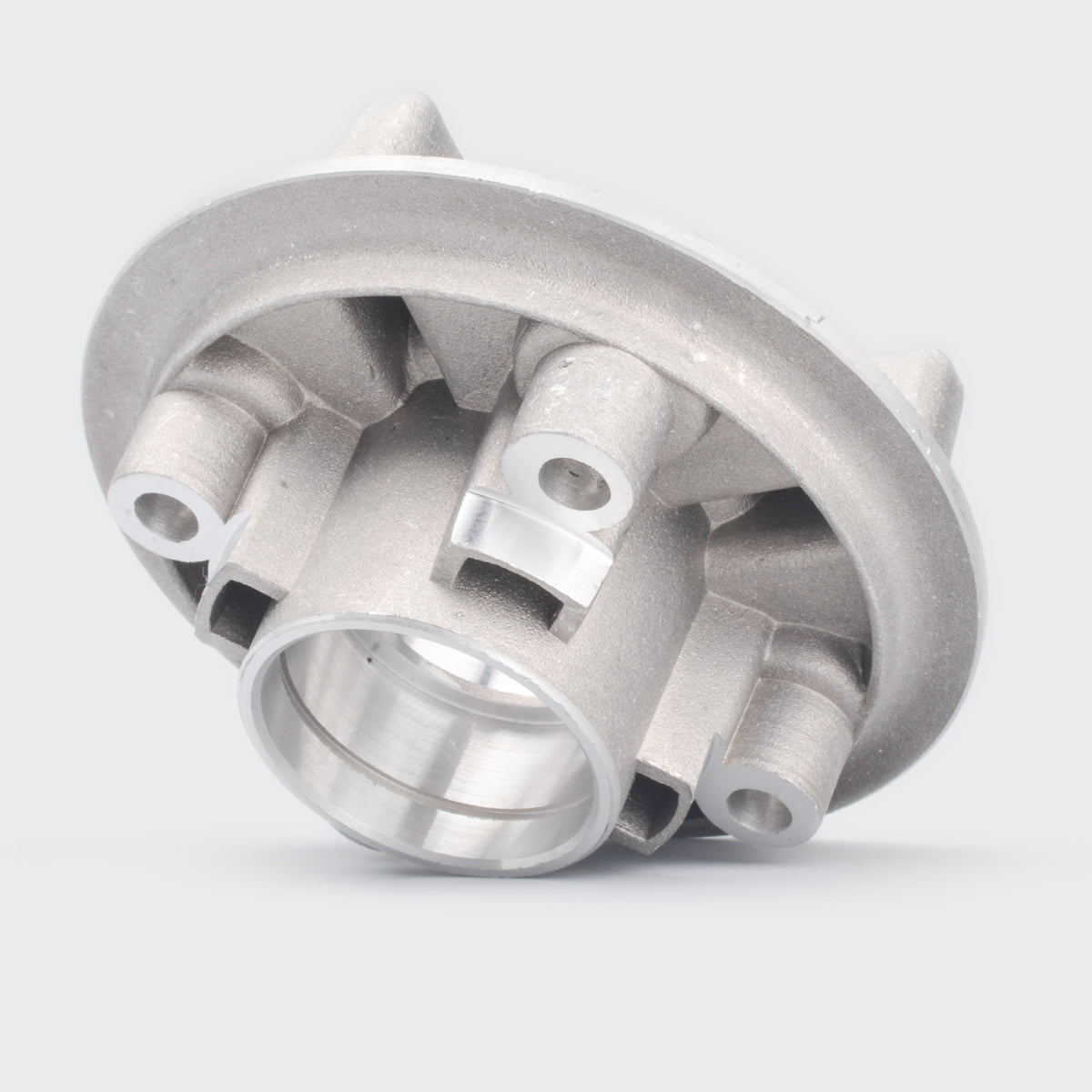 Sprocket Hub RX100