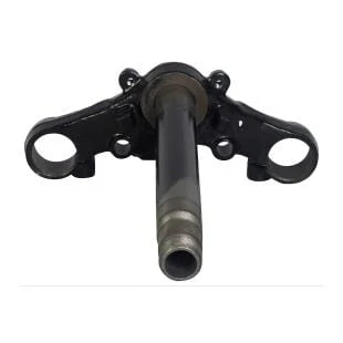 T Stem