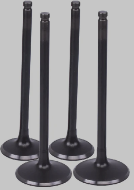 Valve Intake Exhaust (set of 4)duke 200