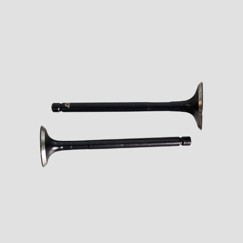 Valve Set CT100 ES