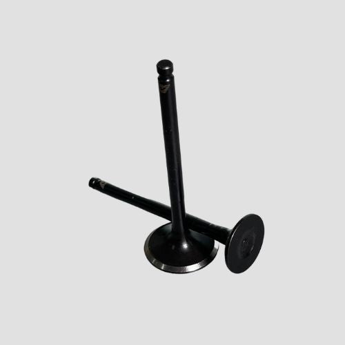 Valve Set Fascino/Ray for Yamaha — motorcycle spare part Kenya