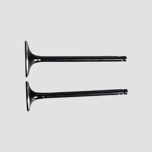Valve Set FZ N/M