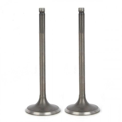 Valve Set (First Quality) for Hero Passion Plus New — motorcycle spare part Kenya