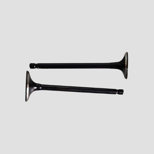 Valve Set Platina 100 ES for Bajaj — motorcycle spare part Kenya