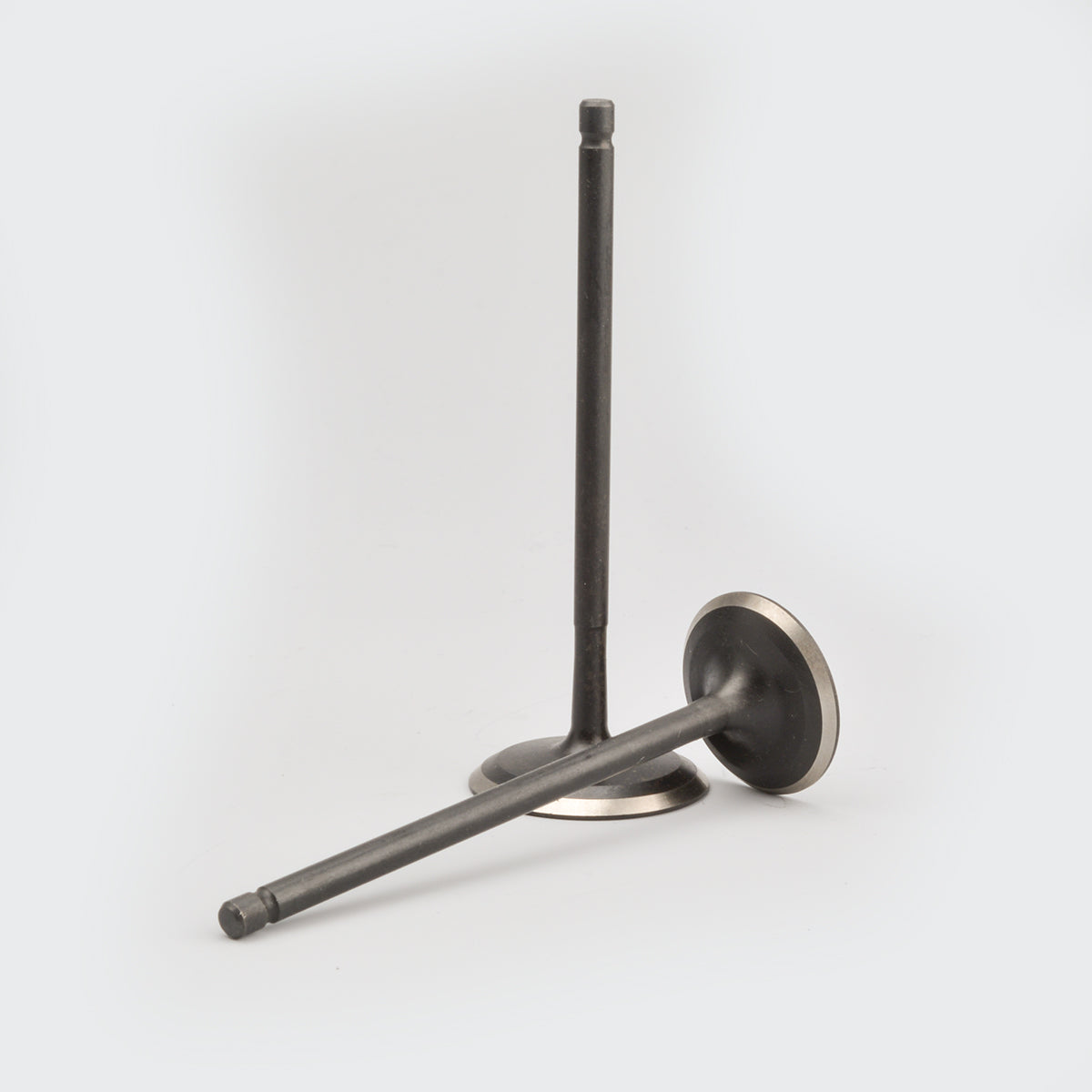 Valve Set Pulsar [ug3/Ug4] [Digi]/Pulsar 200