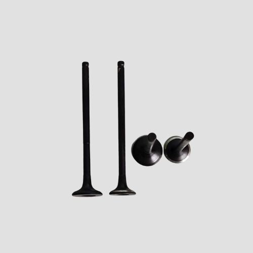 Valve Set R15