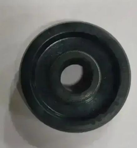 Water Pump Oil Seal