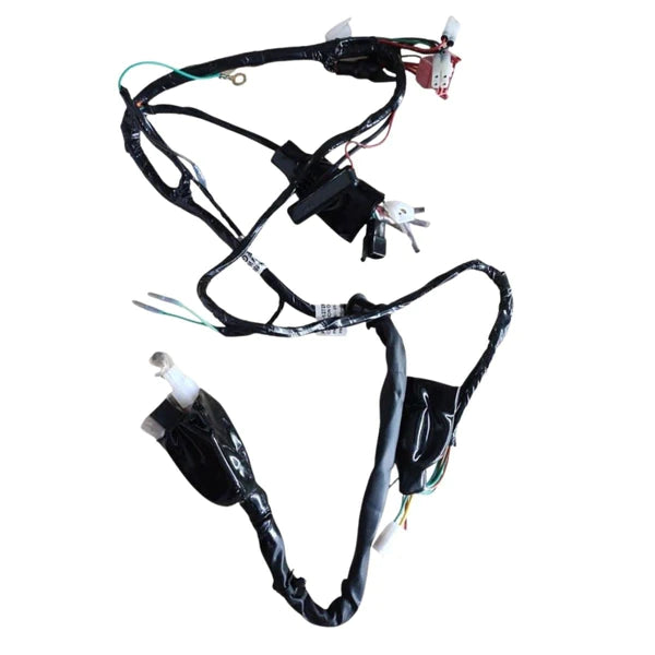 Wiring Harness-2005 Model Kick Start